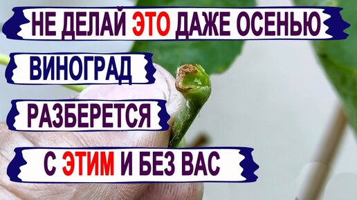 Не ломайте крылья тем кто вас любит картинка