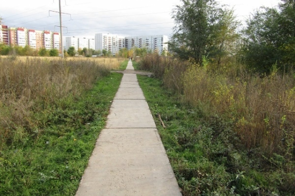    Жительница Тольятти вырвала телефон из рук мужчины и убежала