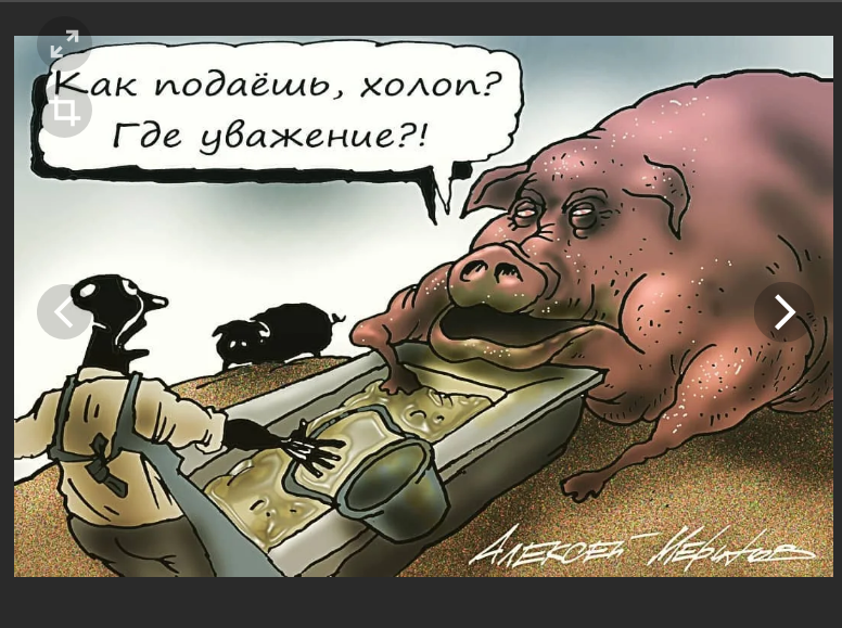 Яндекс картинки