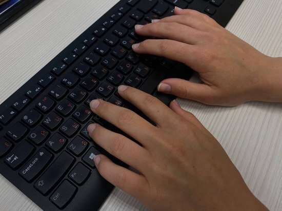     Внимание местных журналистов привлекла приписка курсивом в конце текста. Фото: МК в Питере / canva.com