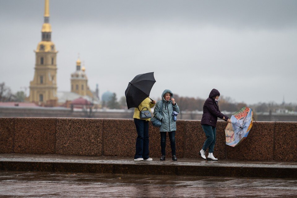     Парки и сады Петербурга закрыли из-за ураганного ветра  ПЫХАЛОВА Юлия (архив)