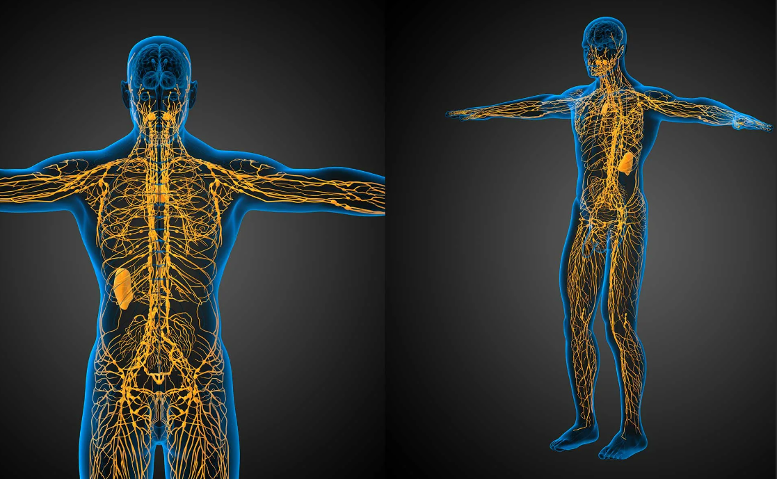 Фото: martinswellness.com