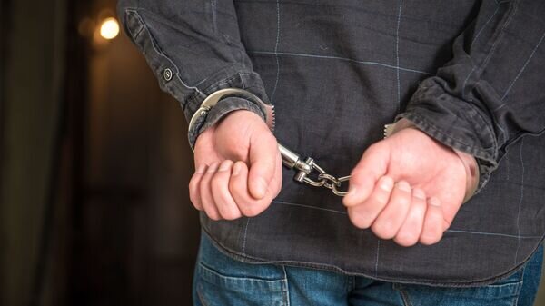   © photo: Sputnik / Stringer