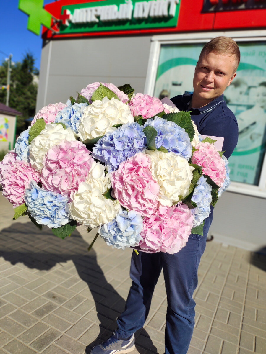 29 голландских гортензий