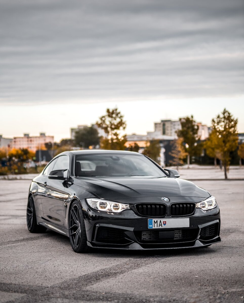   Image by Martin Katler via Unsplash