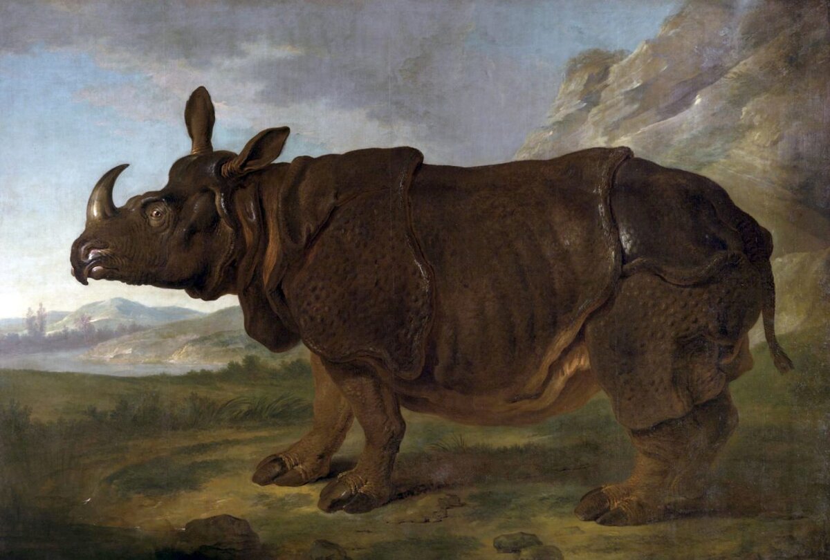 Носорог Клара, работа кисти французского живописца Жан-Батиста Удри, 1749 год