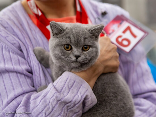   Людмила Корвякова