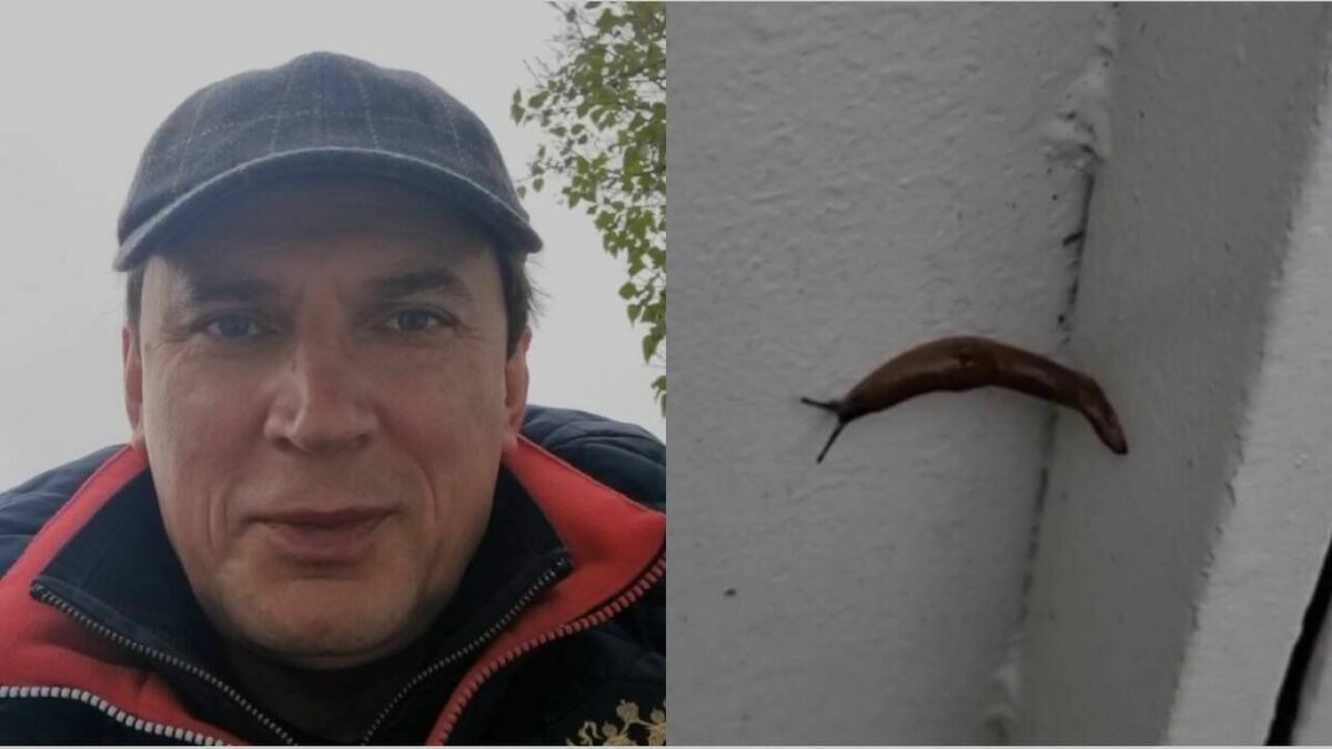     Евгений Моисеев опубликовал в социальных сетях видео, где удивляется моллюску без раковины и спрашивает совета у подписчиков, следует из его аккаунта в Telegram.