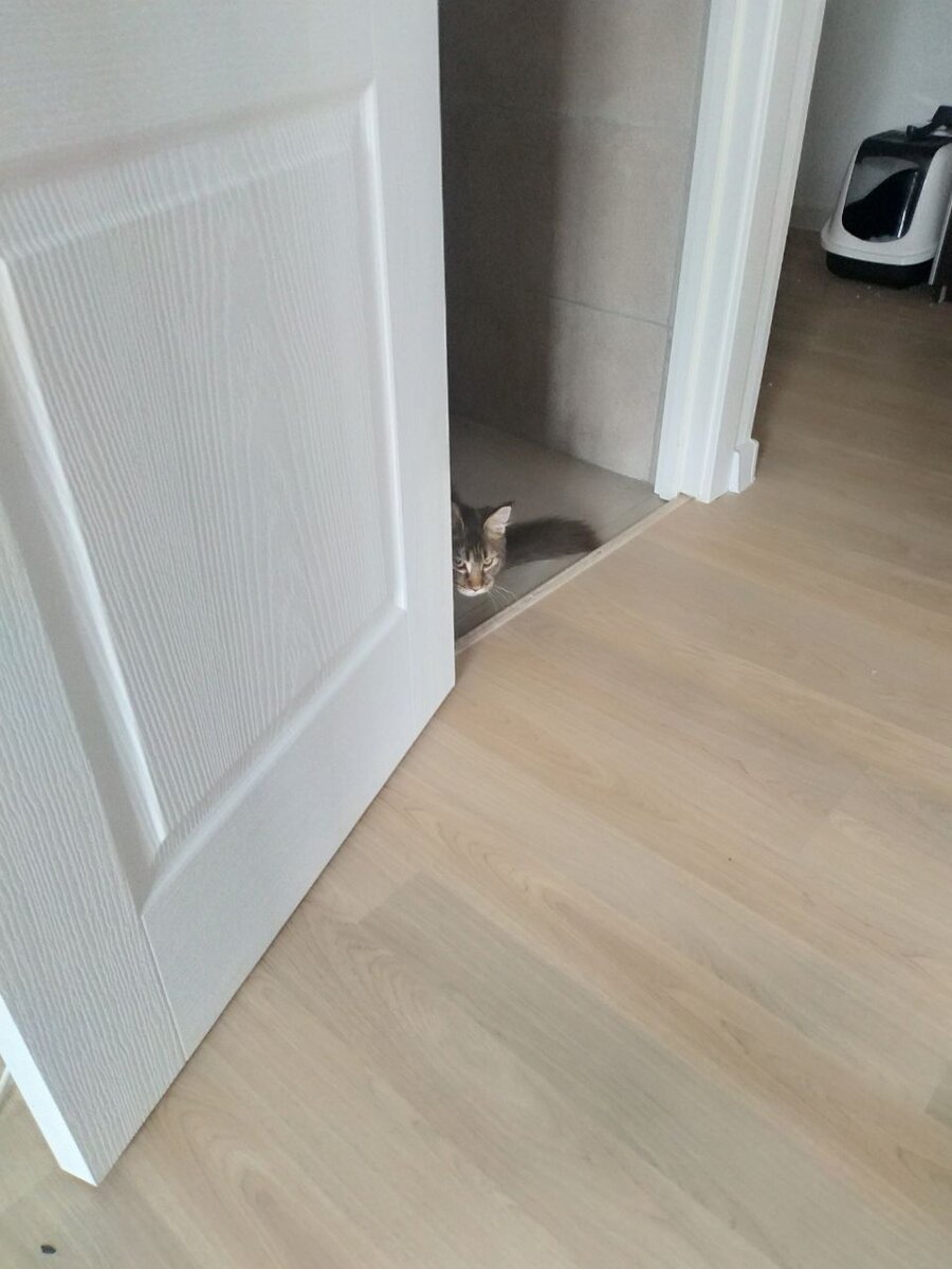 В смысле веником? Это же штуковина для грызения!