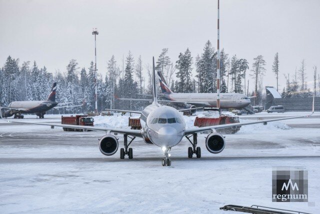    Шереметьево Дарья Антонова © ИА REGNUM
