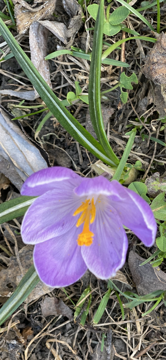 Фото автора ...