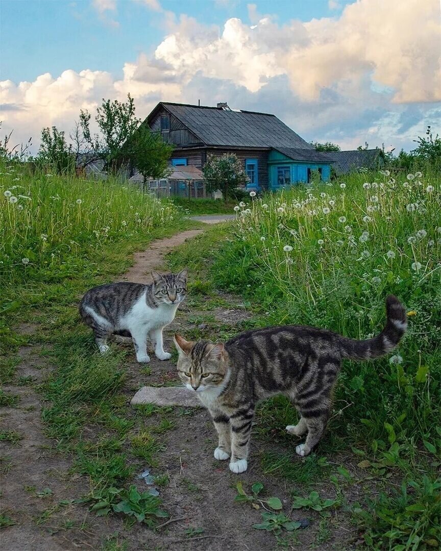 Интернет. Свободный доступ. 