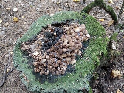 Фотография из личного архива автора