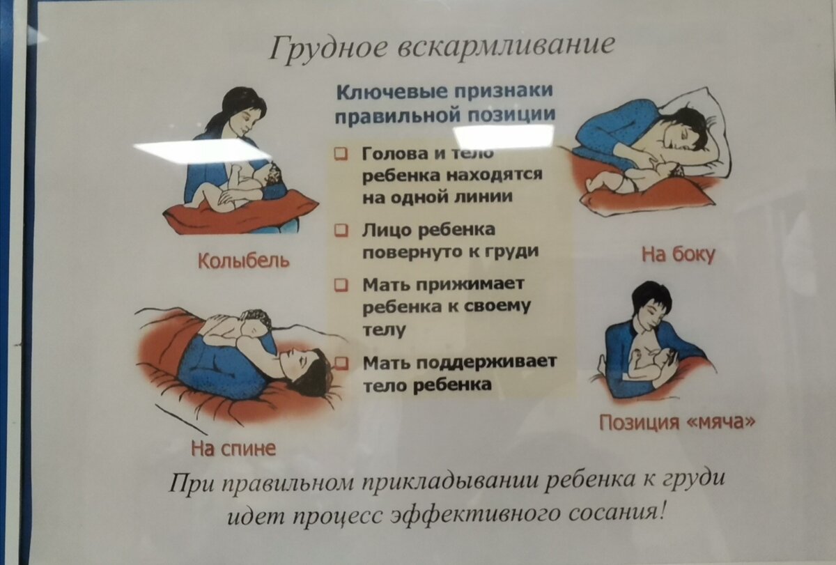 Позы для кормления