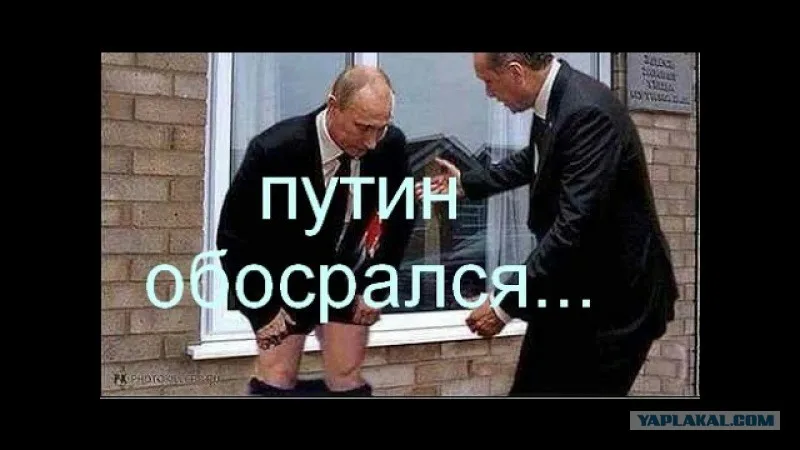 Где посадки путин картинки