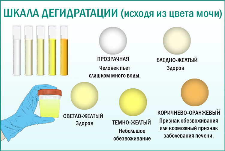 Как правильно выпаивать ребенка?