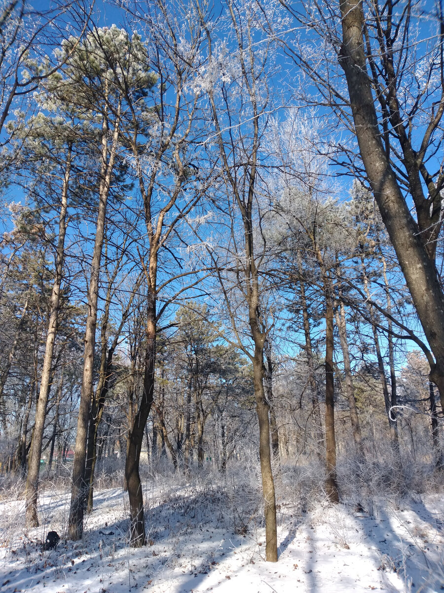 Фото автора. Тишина