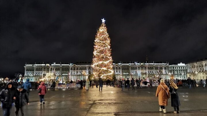 ФОТО: КСЕНИЯ ДУДАРЕВА/ЦАРЬГРАД