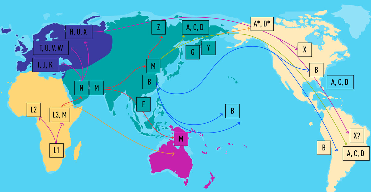 Карта гаплогрупп мира
