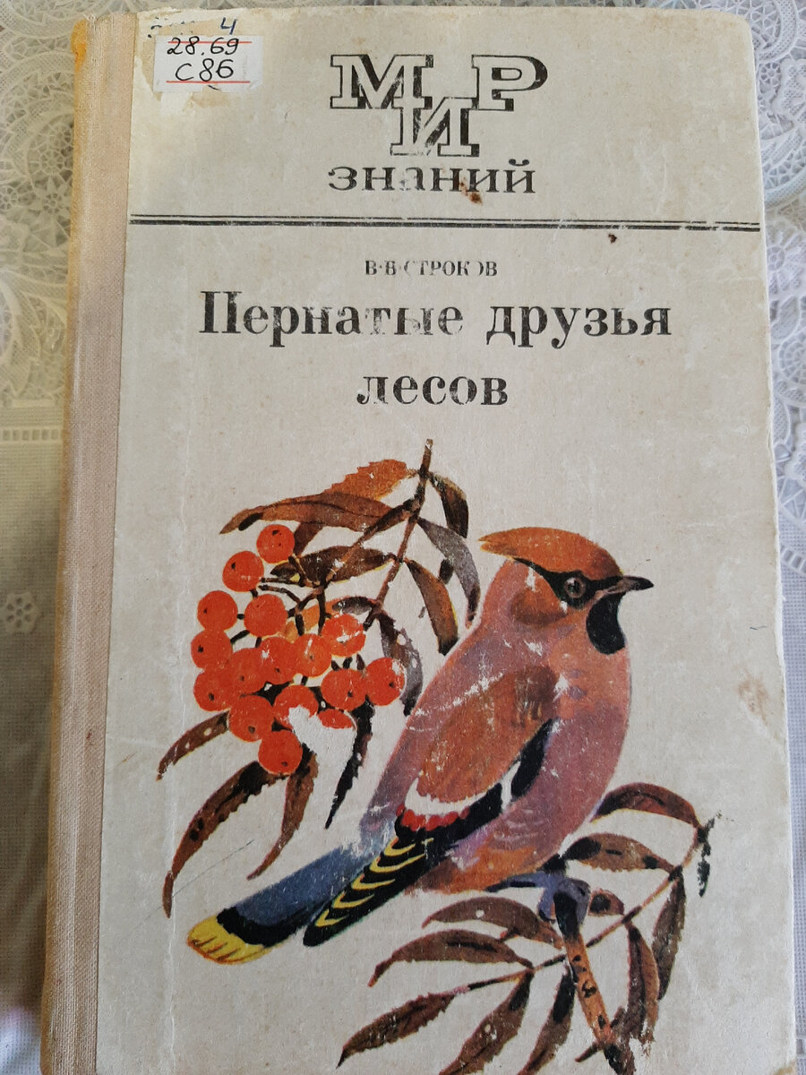 Книги о лесных птицах. Фото автора