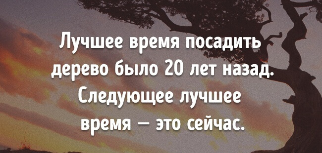 Хорошо следующее. Лучшее время посадить дерево. Тибетские мудрости высказывания. Лучшее время чтобы посадить дерево было двадцать. Тибетская мудрость цитаты.