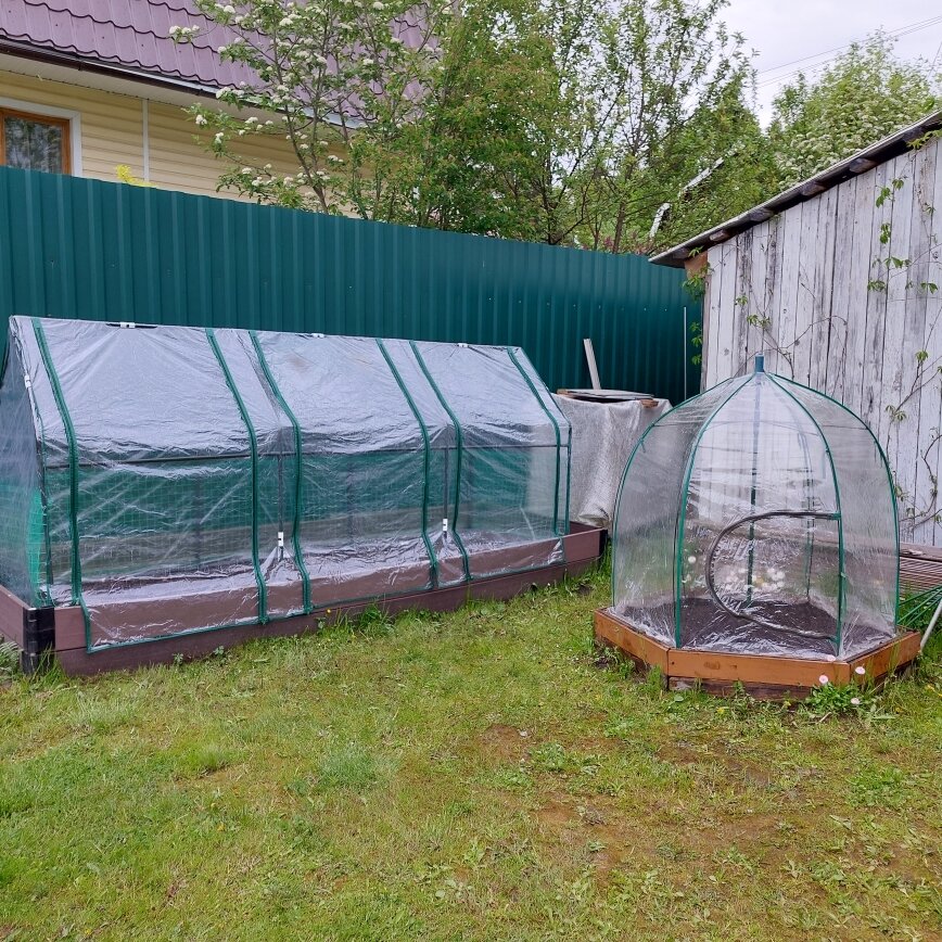 В большом парнике я посадила немного овощей: свёкла, морковь, репа, редис, укроп, кориандр и первый раз посадила редьку. За парничком должен вырасти подсолнух. В другом парничке вырастут кабачки. 
