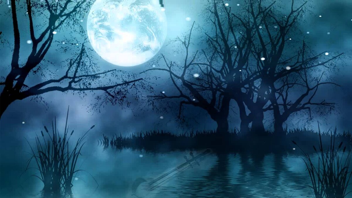 фото взято из открытых источников