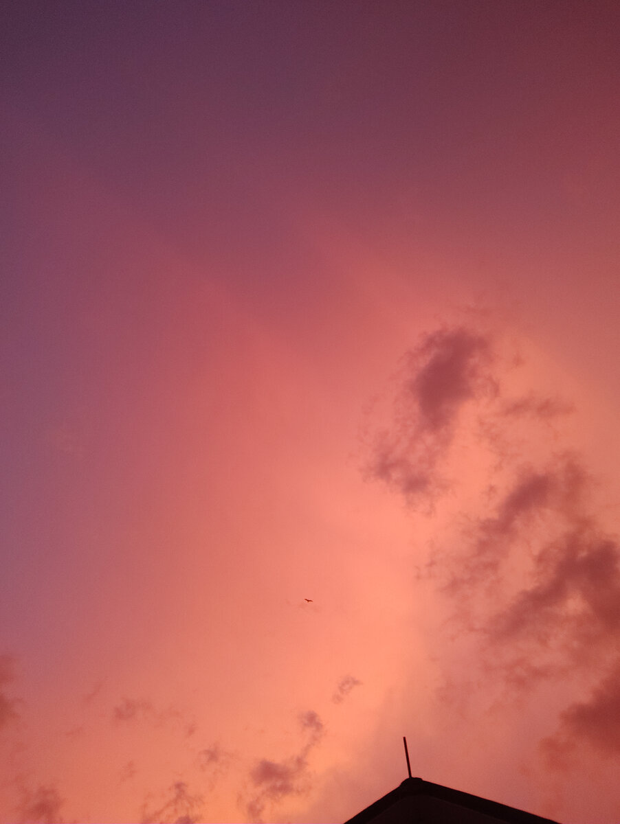 Фото из личного архива