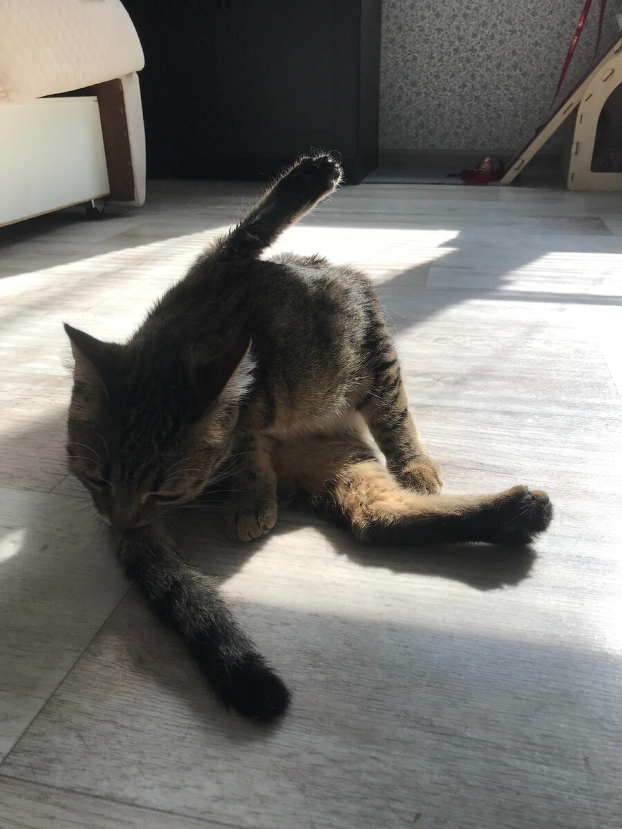 Часто стала замечать , что она в такой позе