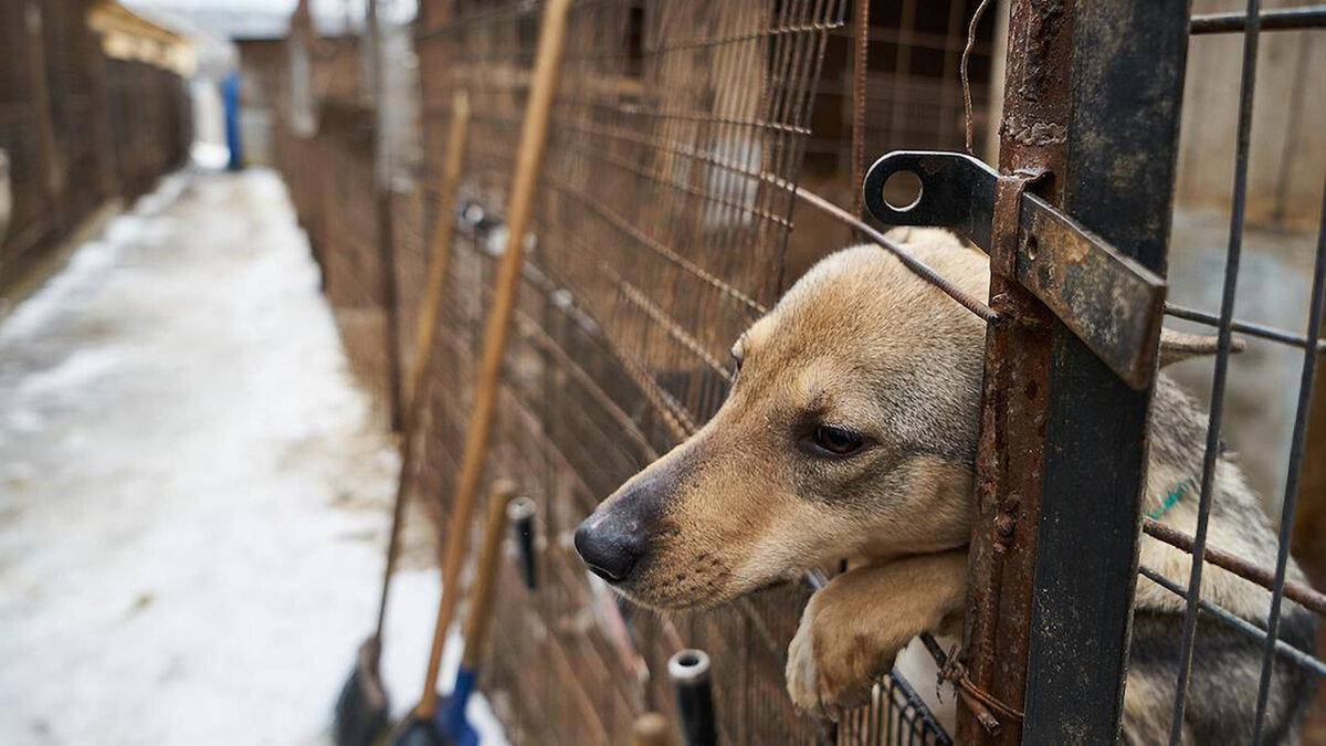 Картинка с просторов Интернета