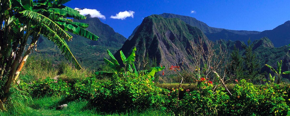 фото яндекс картинки