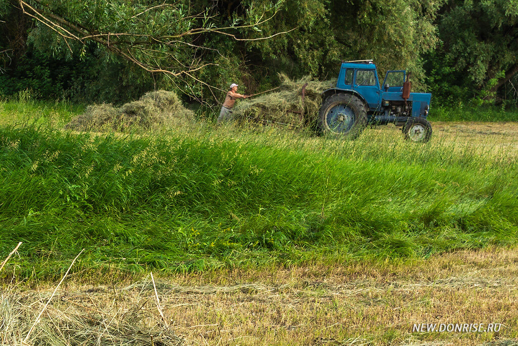 Погрузка сена