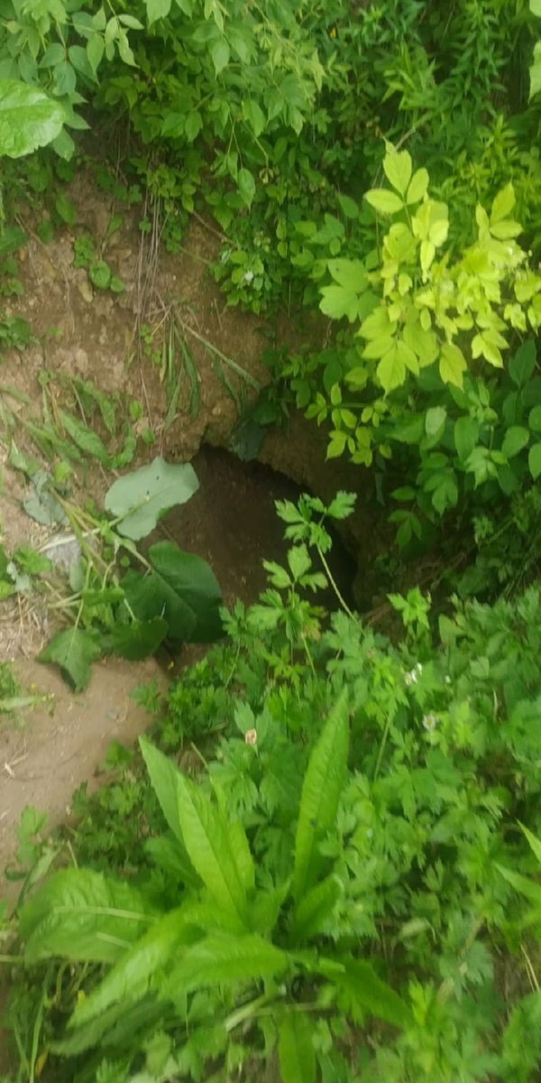 вход в пещеру