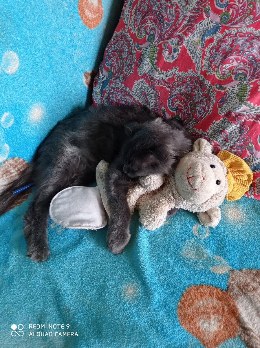 Тишка с другом. 