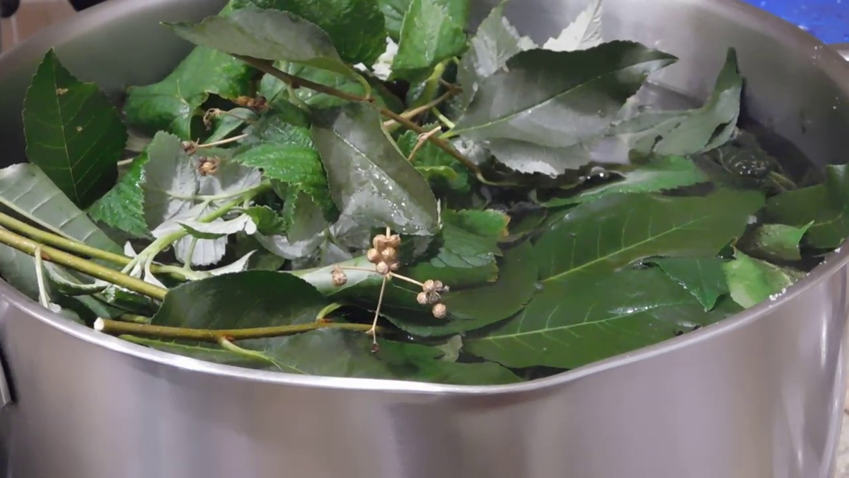 Простые и вкусные рецепты