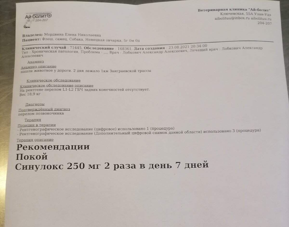 Посмотрите в эти глазки, он хочет жить и хочет встать на лапки. Бездобный  пёсик Флеш ждёт и надеется на вашу помощь, добрые люди | Кот и Пёс  -Территория Надежды | Дзен