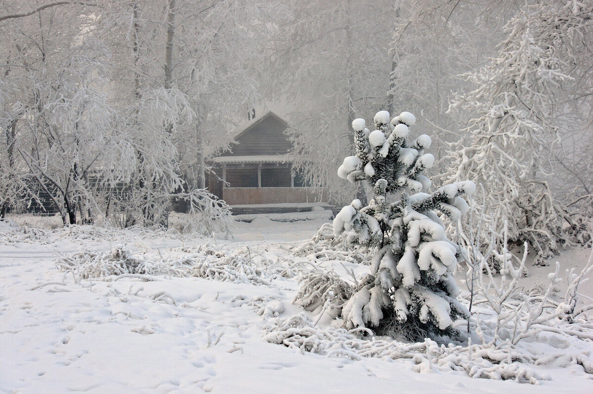 фото из интернета