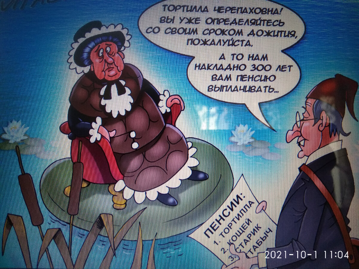 Фото из открытого доступа.