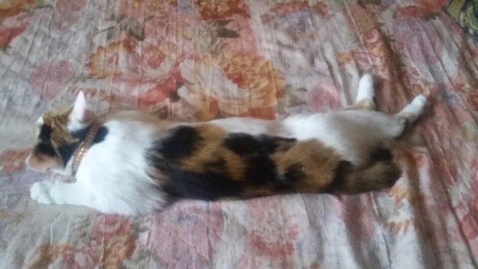 Дома
