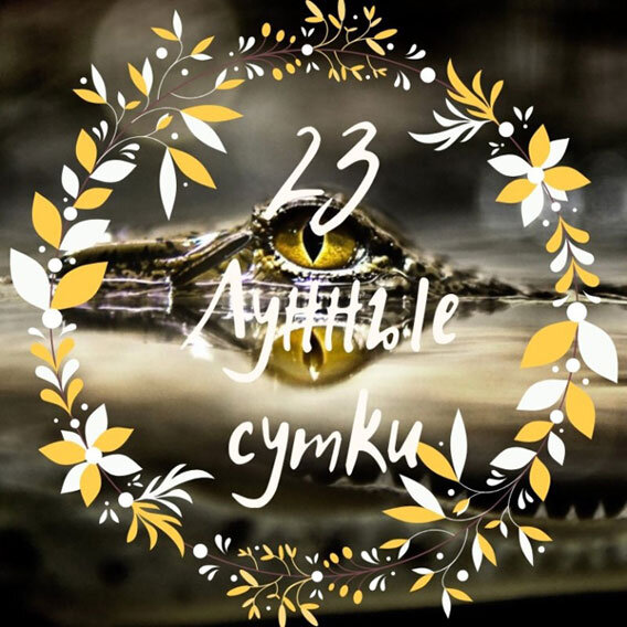 23 Лунный день