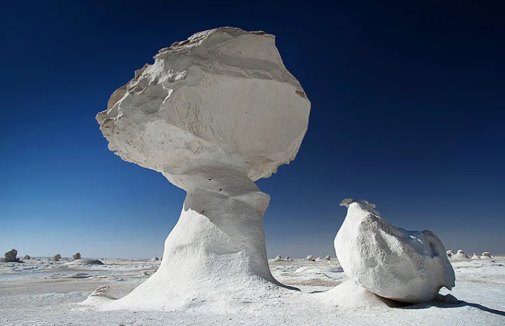 Фото из открытого источника