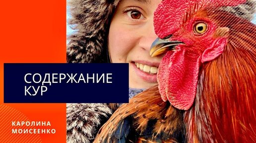 КРУПНЫЕ ЯЙЦА | СОДЕРЖАНИЕ КУР