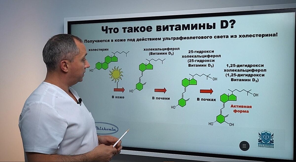 Шишонин о витамине д3. Откуда берется витамин д. Откуда берутся витамины.