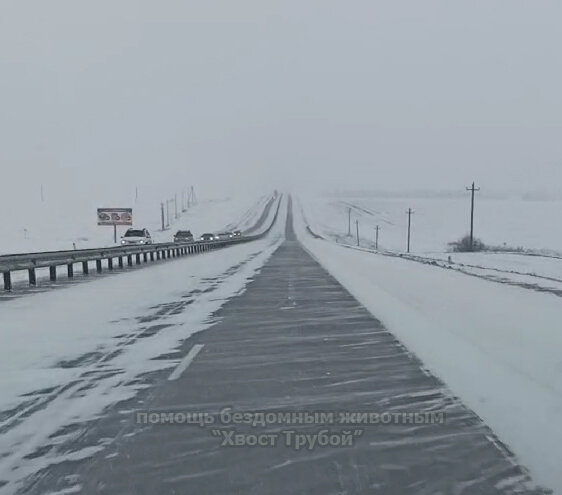 Трасса г.Курск - п.Карла Либнехат