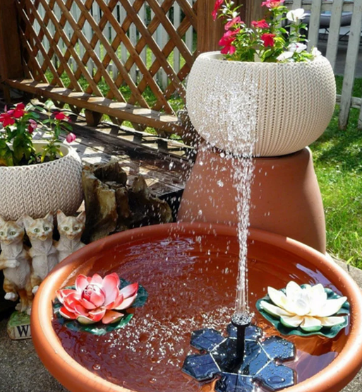 Фотография взята для иллюстрации