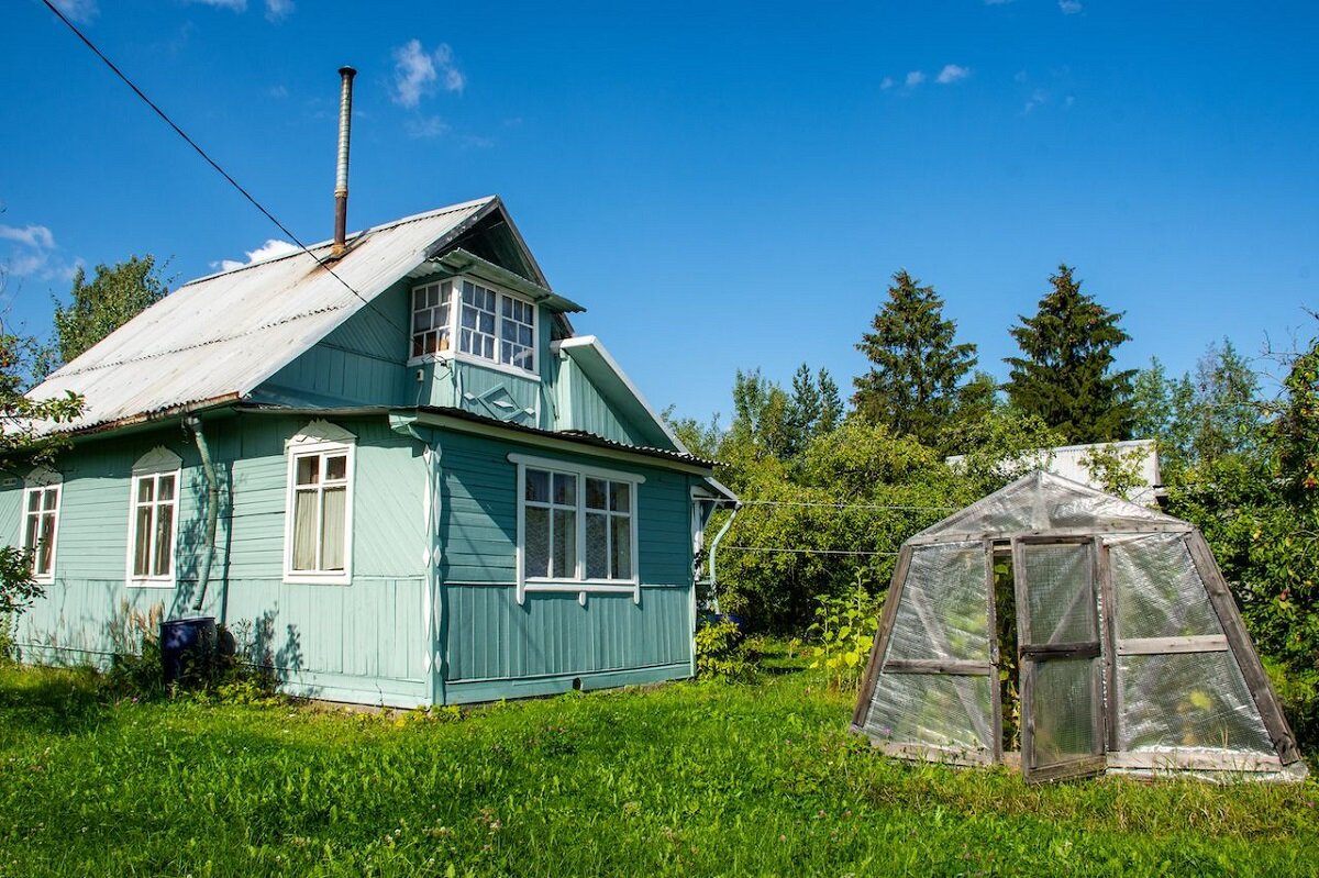 яндекс.картинки