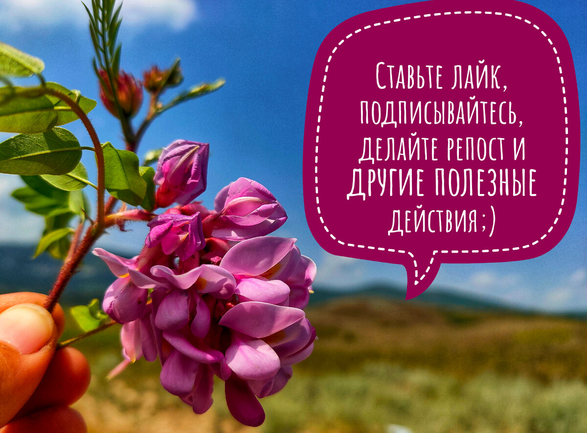 Фотография сделана автором канала