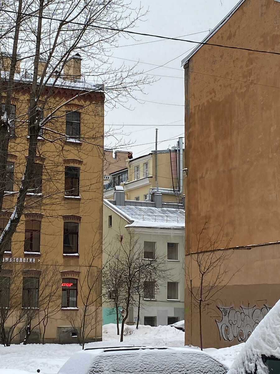 Петербург: несколько нескучных фактов об архитектуре города | ОтЛичная  Жизнь | Дзен