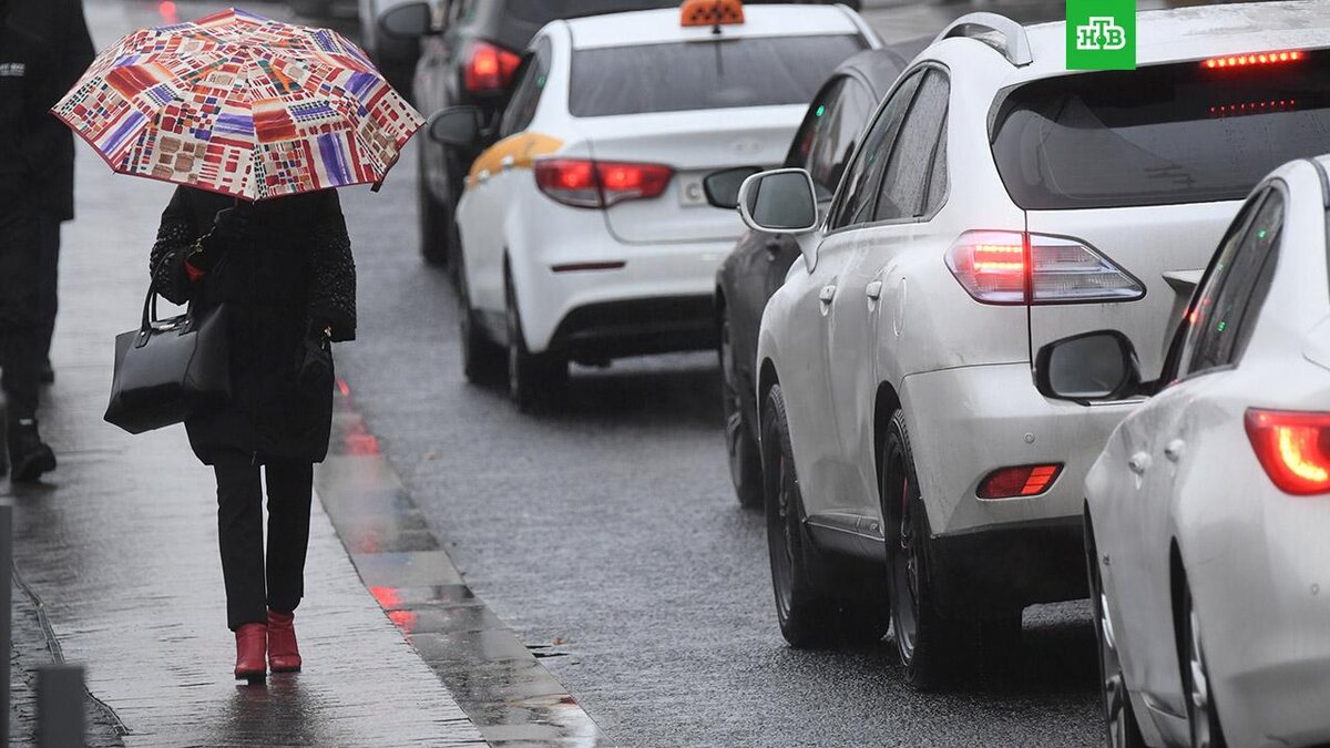    Фото: РИА Новости © 2022, Кирилл Каллиников