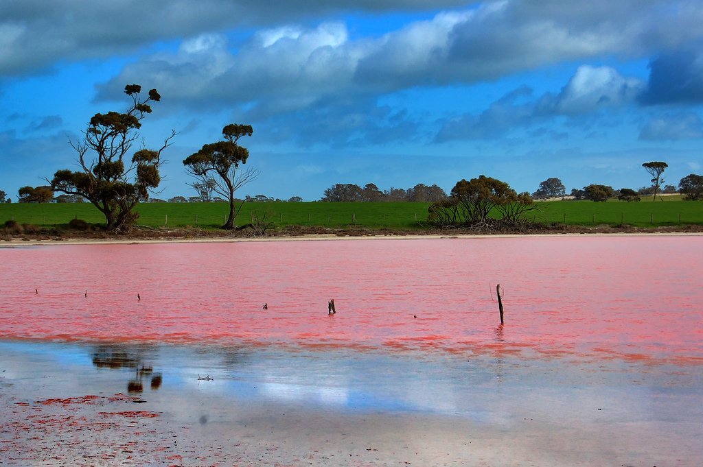 В австралии есть озера. Розовое озеро Хиллер Австралия. Озеро Хиллер (hillier), Австралия. Озеро Хиллиер на острове Мидл-Айленд. Достопримечательности Австралии озеро Хиллер.